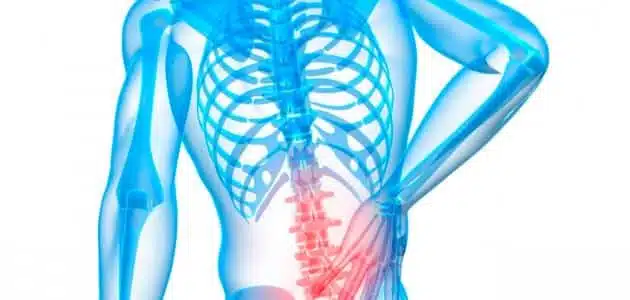 ما هو الغضروف؟