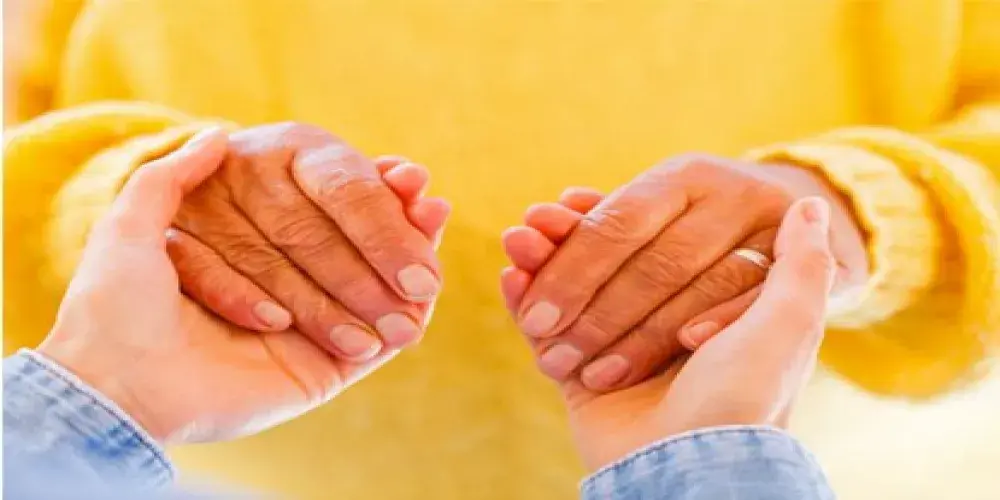 532553b3ebf7darticle 2316 1. Jpg