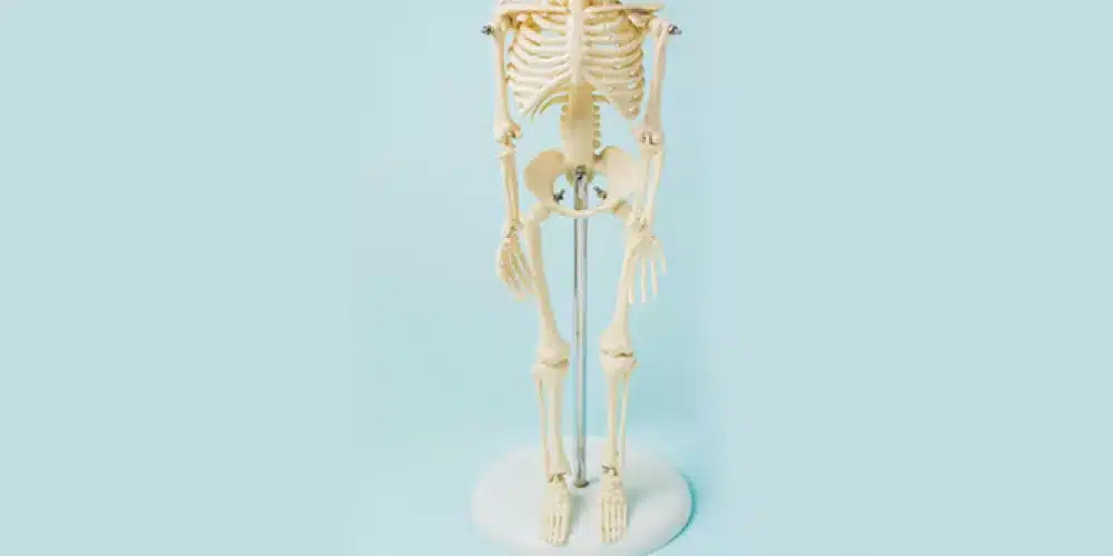 F849e918646e85f3bccf422168454bdf. Png