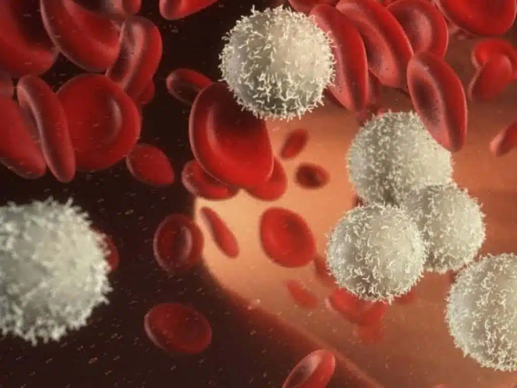 ما هي عملية زرع النخاع؟