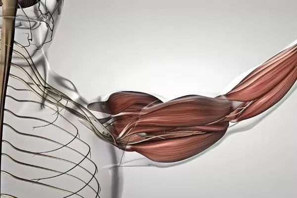 Reasons for shoulder arthroscopy