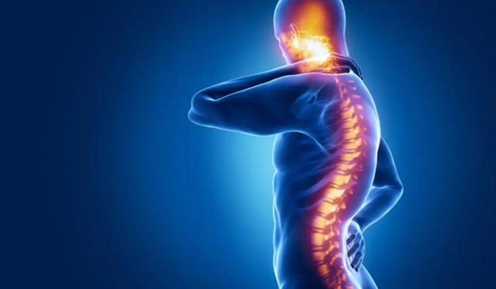 Best doctor for spinal cord treatment in Egypt