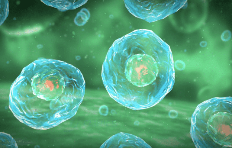 تكلفة زراعة الخلايا الجذعية في مصر 