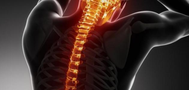 الآلام في منطقة فقرات القفص الصدري وكيفية علاجها
